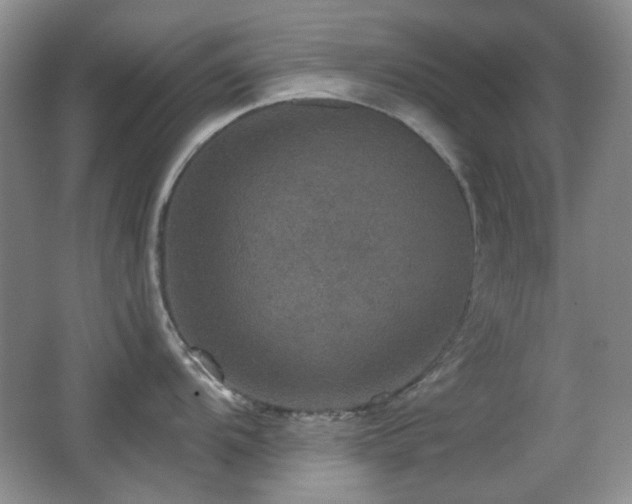 X0000066011104200603031216