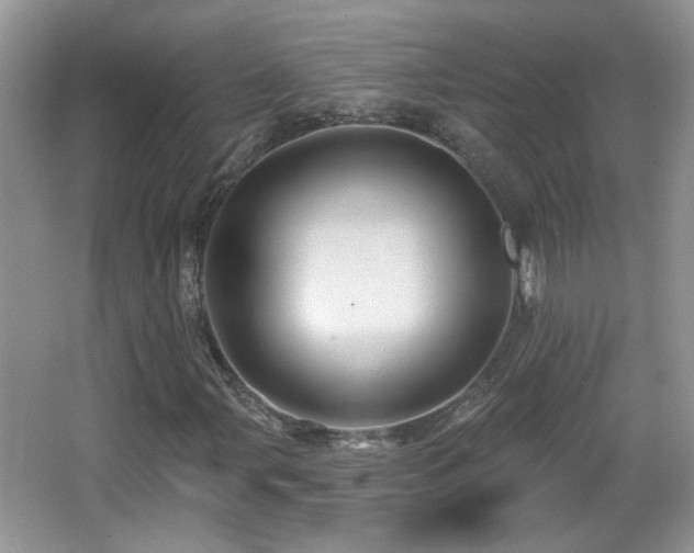X0000066011107200603031216