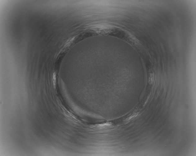 X0000066011108200603031216