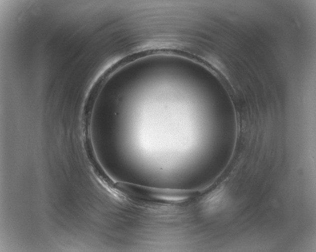 X0000066011119200603031216
