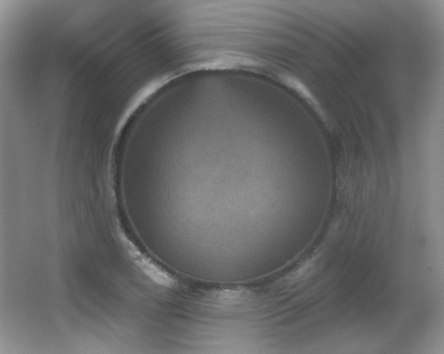 X0000066011122200603031216