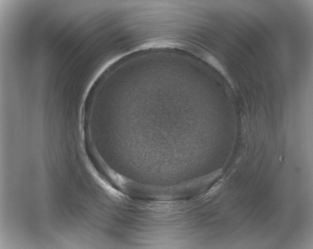 X0000066011124200603031216