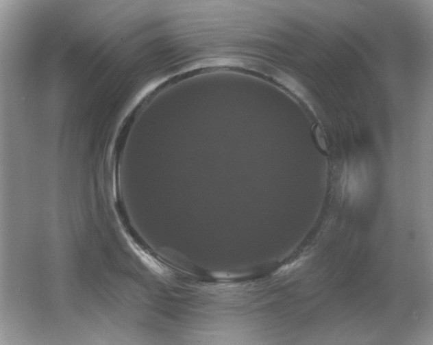 X0000066011127200603031216