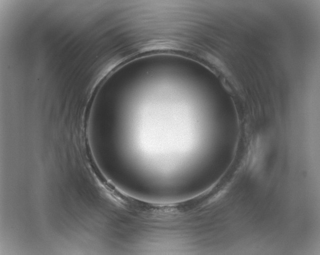 X0000066011129200603031216