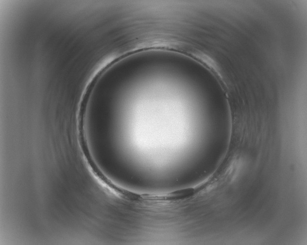 X0000066011135200603031216