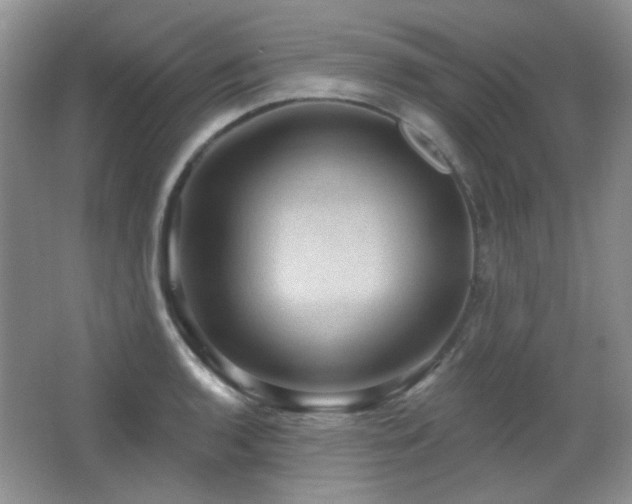 X0000066011136200603031216