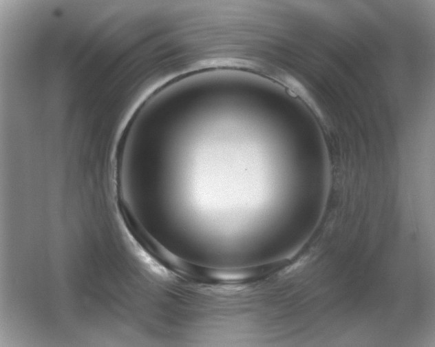X0000066011140200603031216