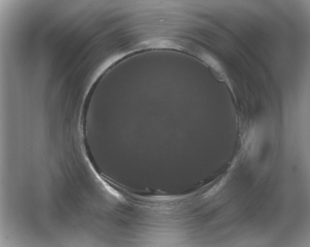 X0000066011141200603031216
