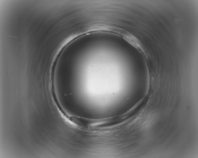 X0000066011143200603031216