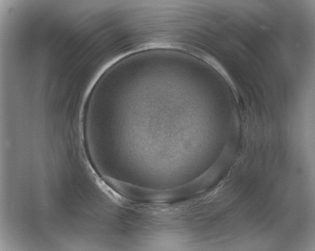 X0000066011148200603031216