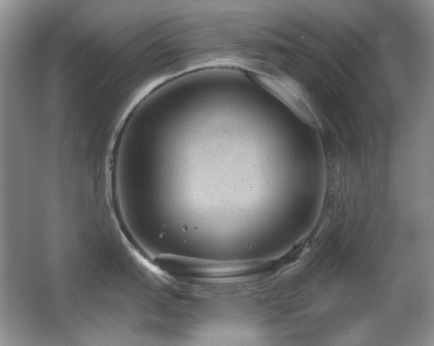 X0000066011151200603031216