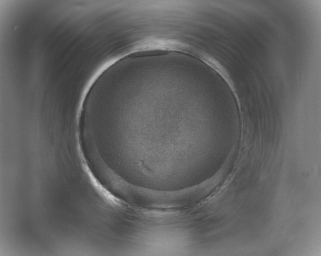 X0000066011152200603031216