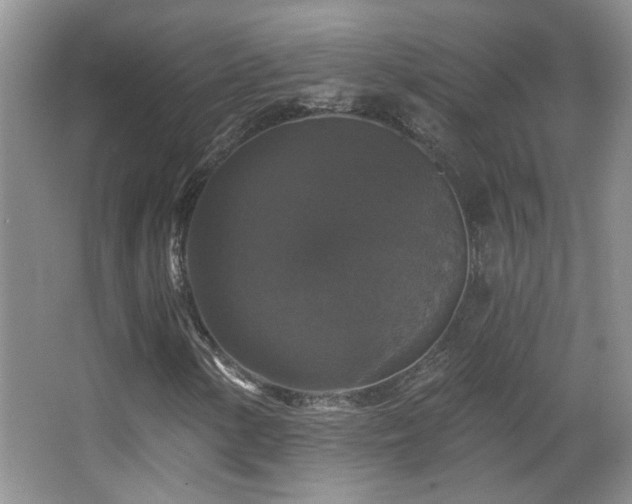 X0000066011154200603031215