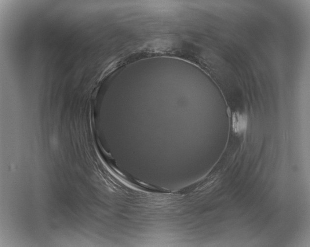 X0000066011155200603031215