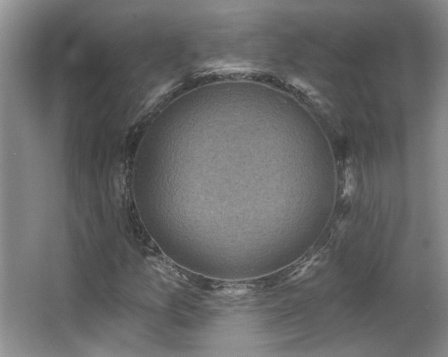 X0000066011157200603031215