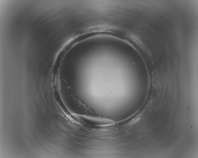 X0000066011164200603031215