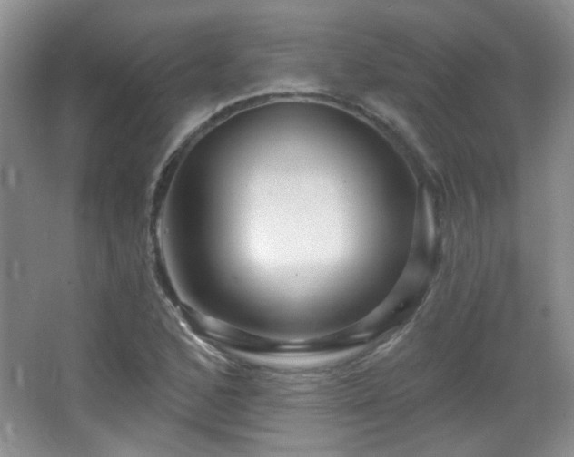 X0000066011168200603031215