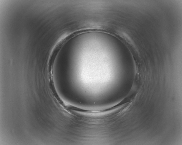 X0000066011172200603031215