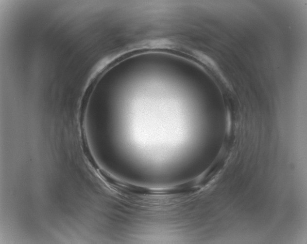 X0000066011176200603031215
