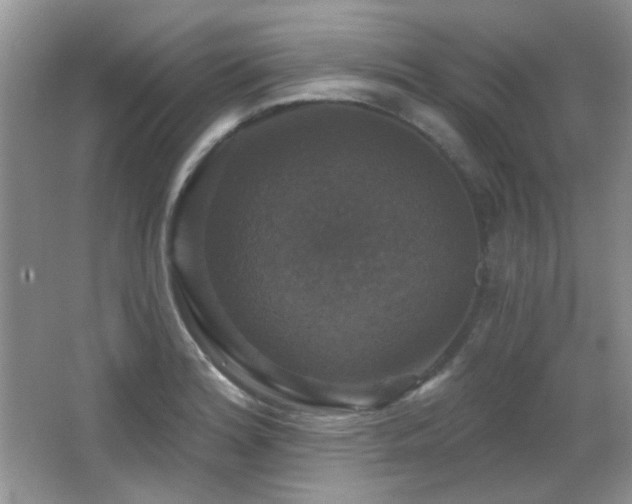 X0000066011180200603031215