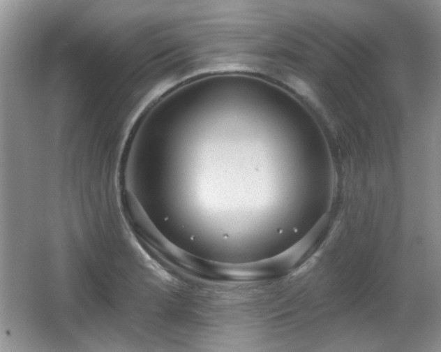 X0000066011181200603031215