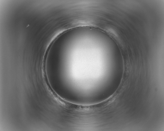 X0000066011182200603031215