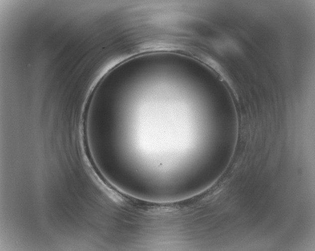X0000066011187200603031215