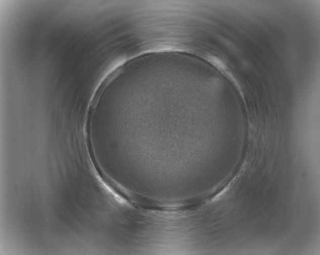 X0000066011189200603031215