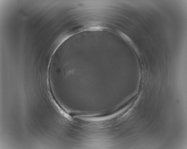 X0000066011194200603031215