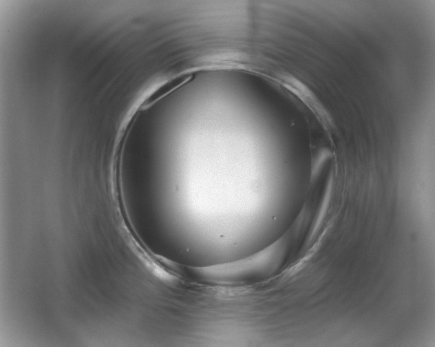 X0000066011196200603031215
