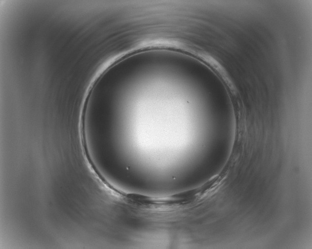 X0000066011199200603031215