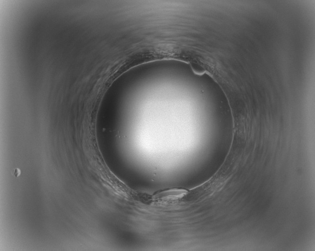X0000066011201200603031214