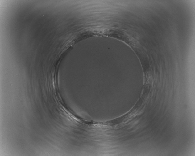 X0000066011202200603031214