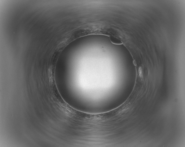 X0000066011203200603031214