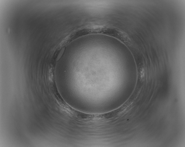 X0000066011204200603031214