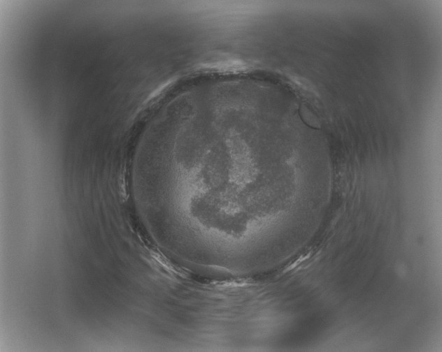X0000066011205200603031214