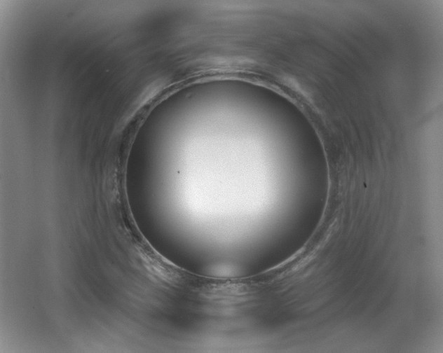 X0000066011211200603031214