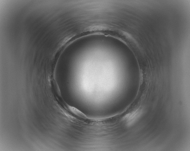 X0000066011217200603031214