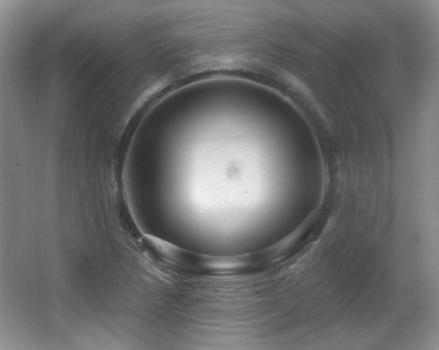 X0000066011218200603031214