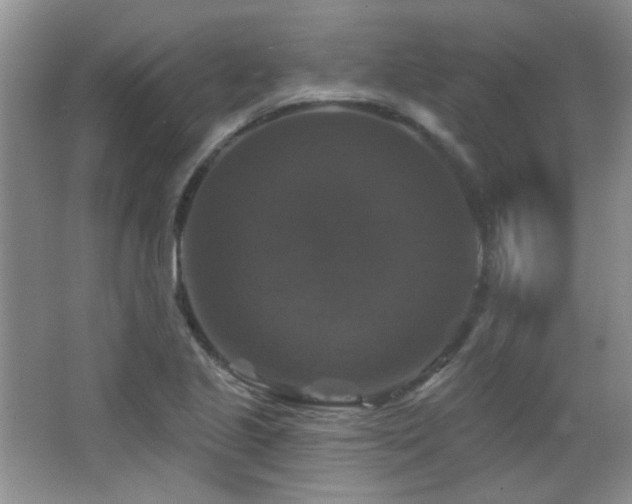 X0000066011221200603031214