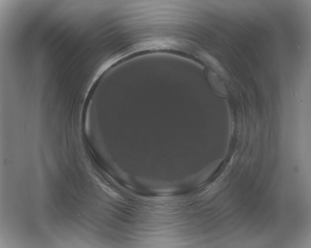 X0000066011226200603031214