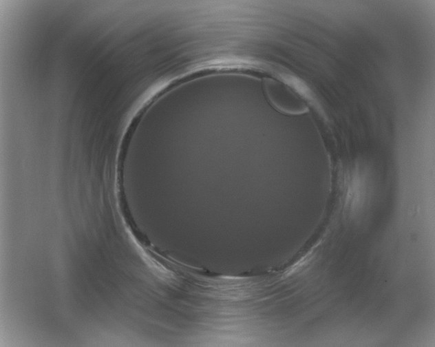 X0000066011229200603031214