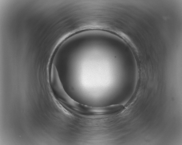X0000066011238200603031215