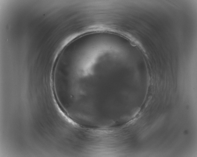 X0000066011239200603031215
