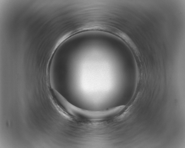 X0000066011242200603031215