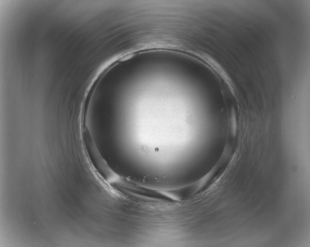 X0000066011246200603031215