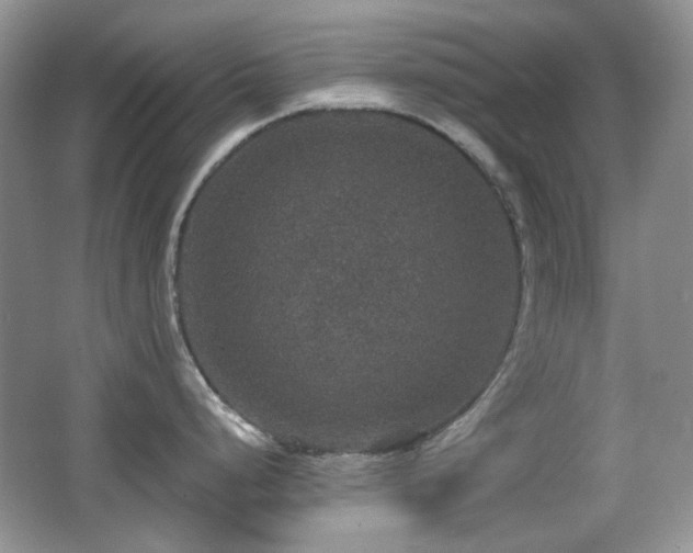 X0000066011248200603031215