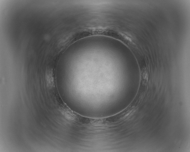 X0000066011252200603031214