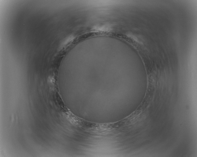 X0000066011254200603031214