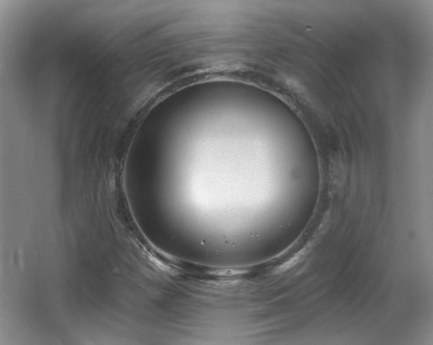 X0000066011257200603031214